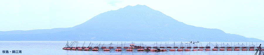 桜島・錦江湾